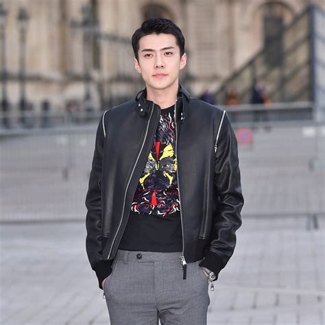 sehun louis vuitton seoul|EXO Member Sehun at Louis Vuitton’s Fall 2017 Runway Show.